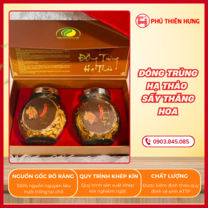 Đông Trùng Hạ Thảo Sấy Thăng Hoa