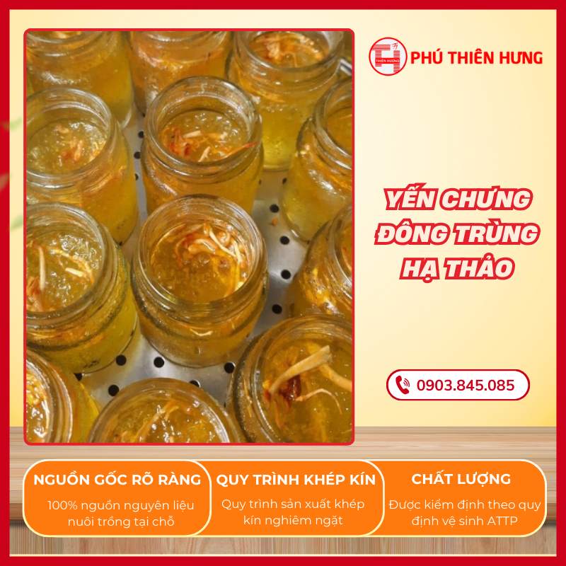 Yến Chưng Đông Trùng Hạ Thảo